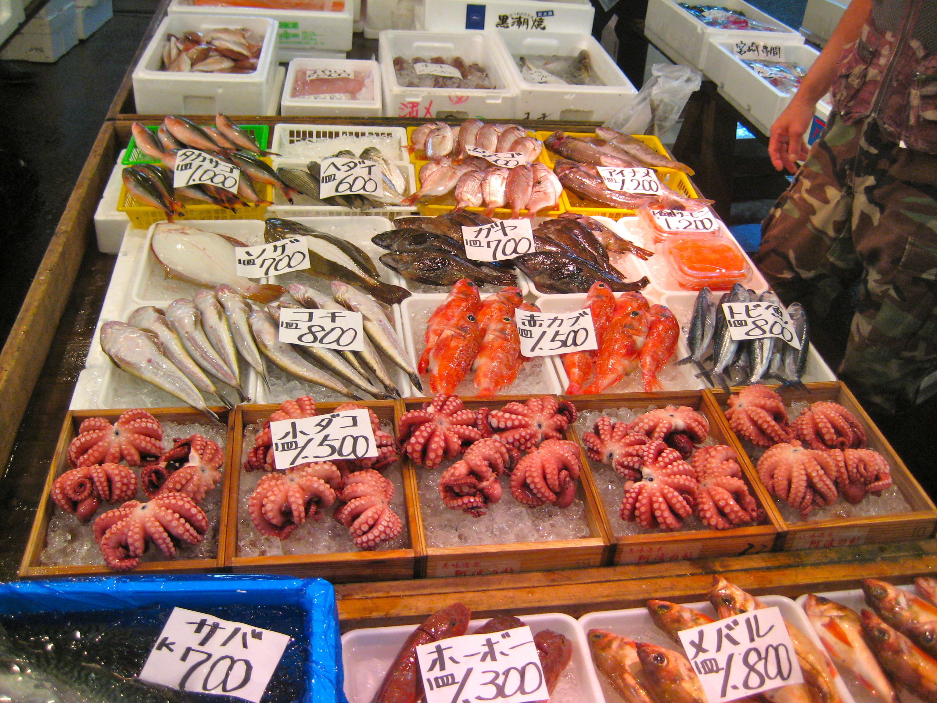 mitchells fish market