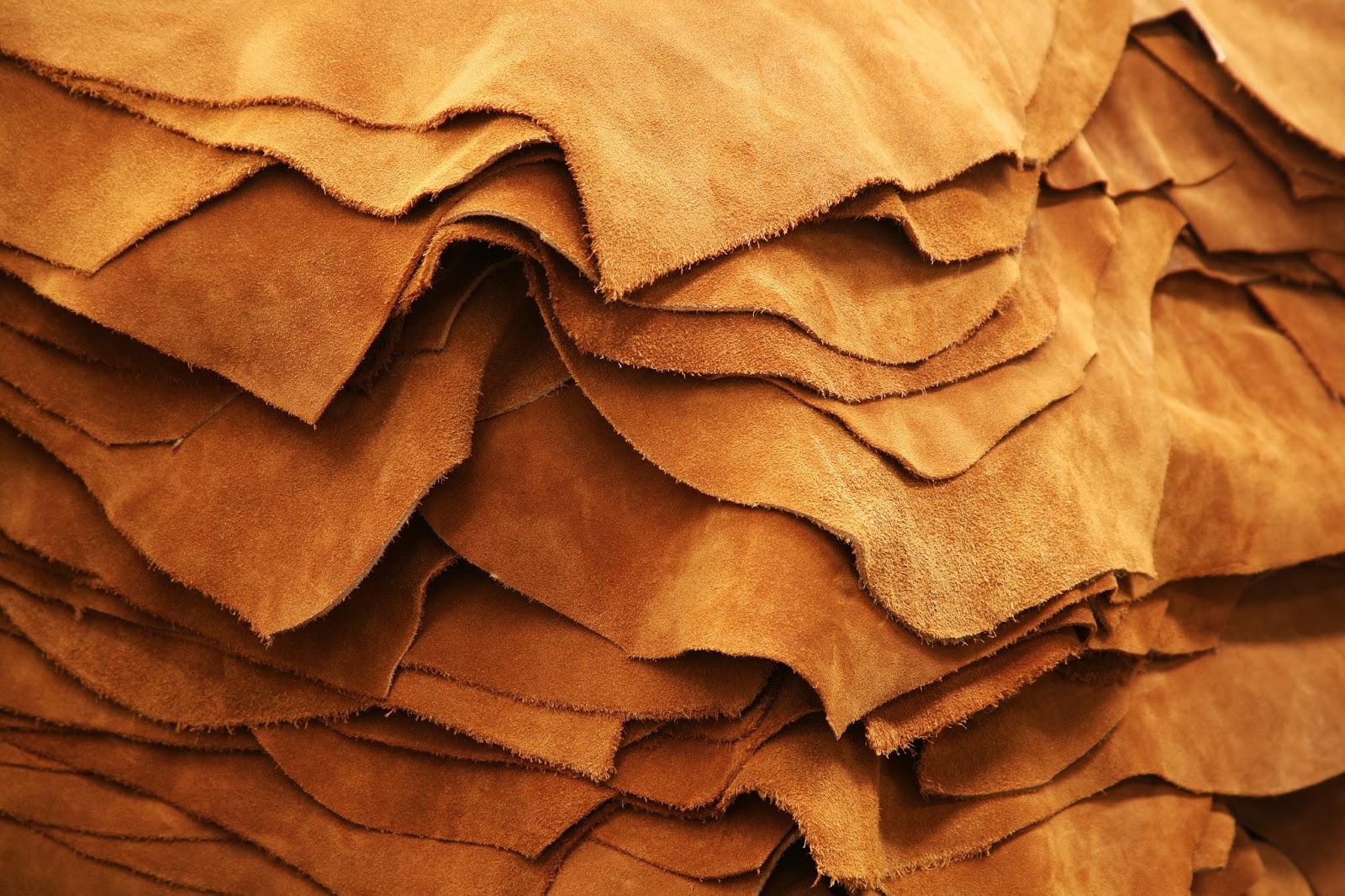 Leather-making: The horrifying facts and green solutions - Follow Green