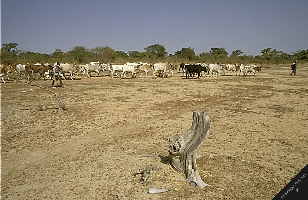 what-are-some-causes-of-erosion