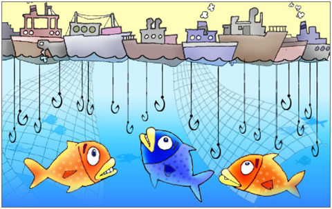 What are some of the problems with overfishing?
