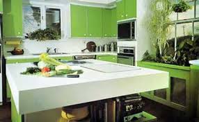 Green Kitchens: The Modern Amenity