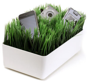 Grassy-Lawn-Charging-Station