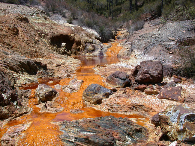 Acid Mine Drainage:The River of Destruction