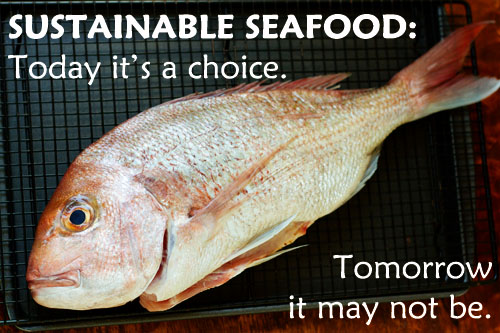 Sustainable Seafood- Can save the marine life