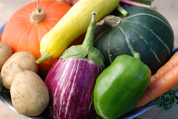 Get Started on your Own Vegetable Garden