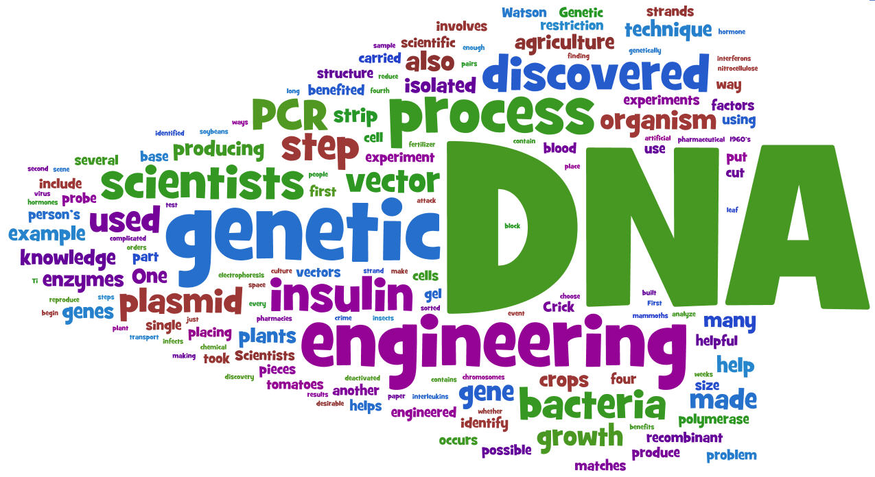 Genetic Engineering: An Informal Introduction