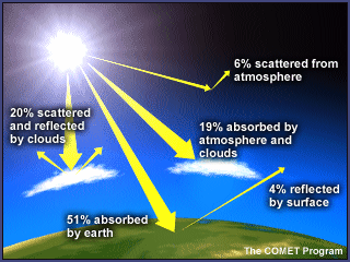 Save Our Globe from Green House Effect !