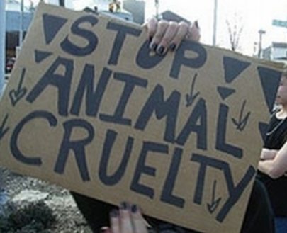 stop animal cruelty.