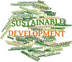 Decoding Sustainable Development