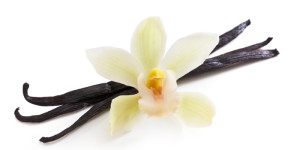 vanilla-with-flower-700-web