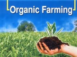 Organic farm