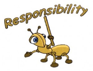 responsibility