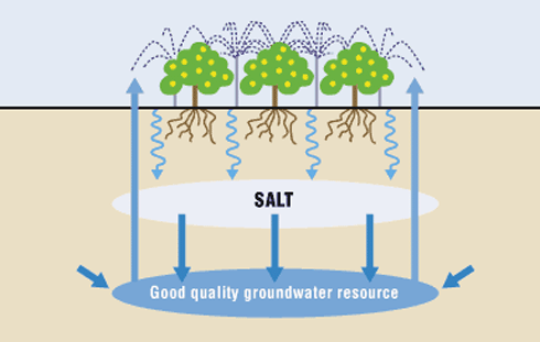 Making it too salty- Salinization!