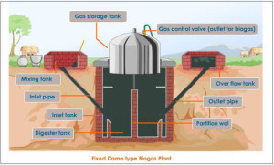 biogas-plant