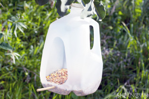 bird_feeder_outside