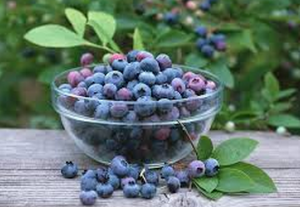 blueberries