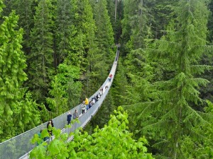 capilano-bridge-vancouver_jpg_1024x768_q85