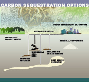 carbon_sequestration_f