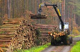 Deforestation : The effects and prevention