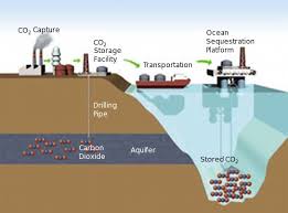 Carbon dioxide Sequestration