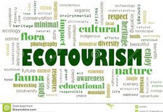 Ecotourism: Good or Bad?