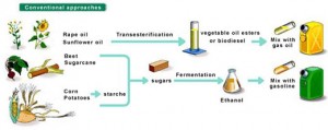 first-generation-biofuels