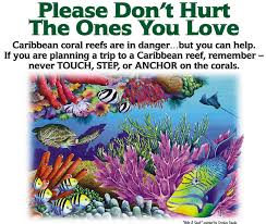 save our reefs 