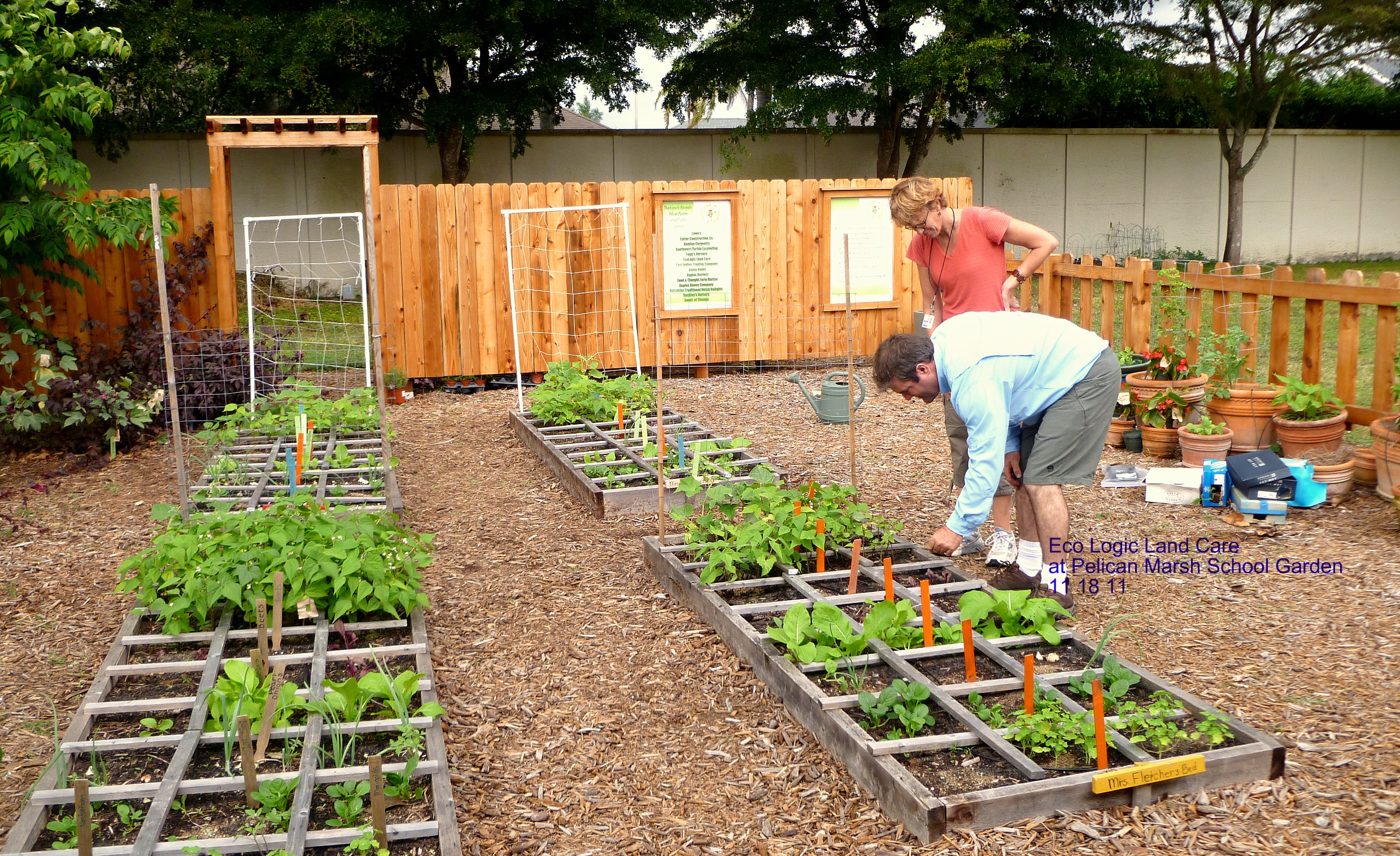 Tips Membuat Kebun Organik di Rumah