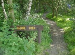 nature trail