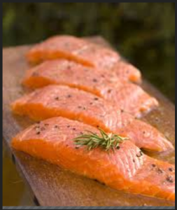 salmon