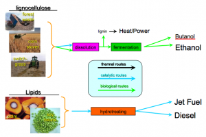 second generation biofuels