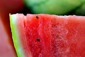 sf watermelon
