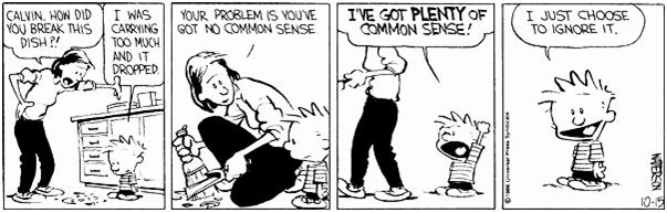Calvin and Hobbes 