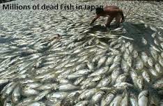 The disaster has left millions of fish dead, making it one of the the most destructive nuclear disasters ever.