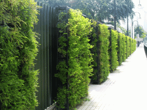Exterior green wall