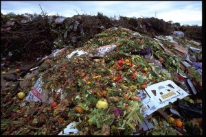 Food waste landfills