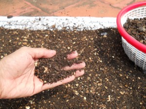 compost pit