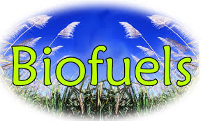Bio Fuels – Are they really an alternative for fossil fuels?