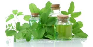 Natural green medicines : Prolong your life span!