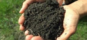 natural composting