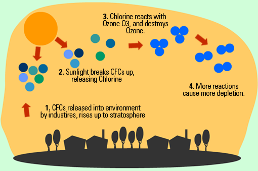 the-ozone-depletion-prevention-follow-green-living