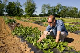 Sustainable practices in agriculture