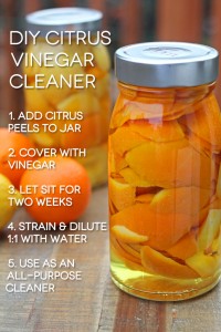 Citrus+Vinegar