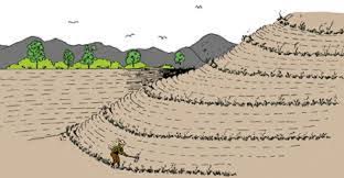 Lack of forest cover is largely responsible for erosion of soil.