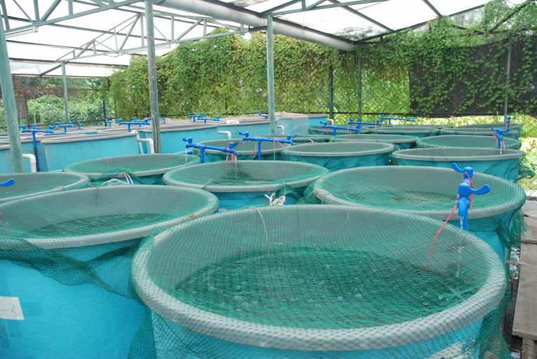 Eco-friendly aquaculture