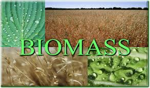 BIOMASS RESOURCES AND TECHNOLOGIES