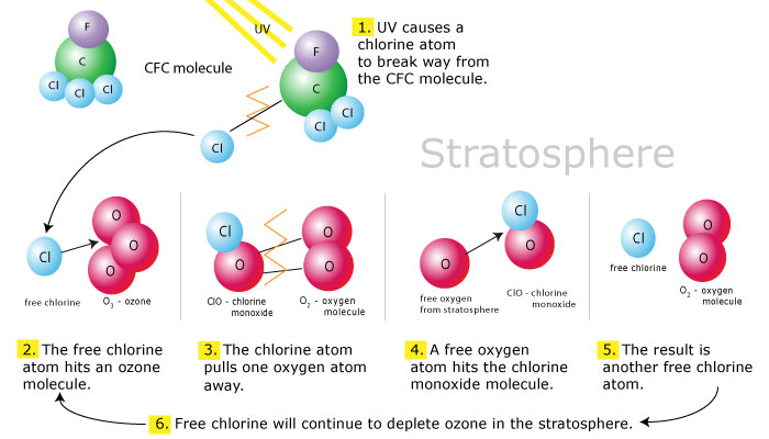 OZONE DEPLETION – The most dreaded global environment