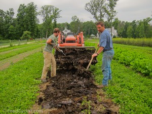 organic-farming-7-of-18