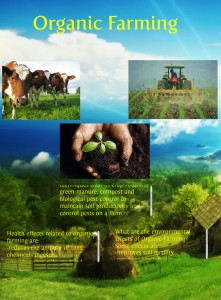 organic-farming-source