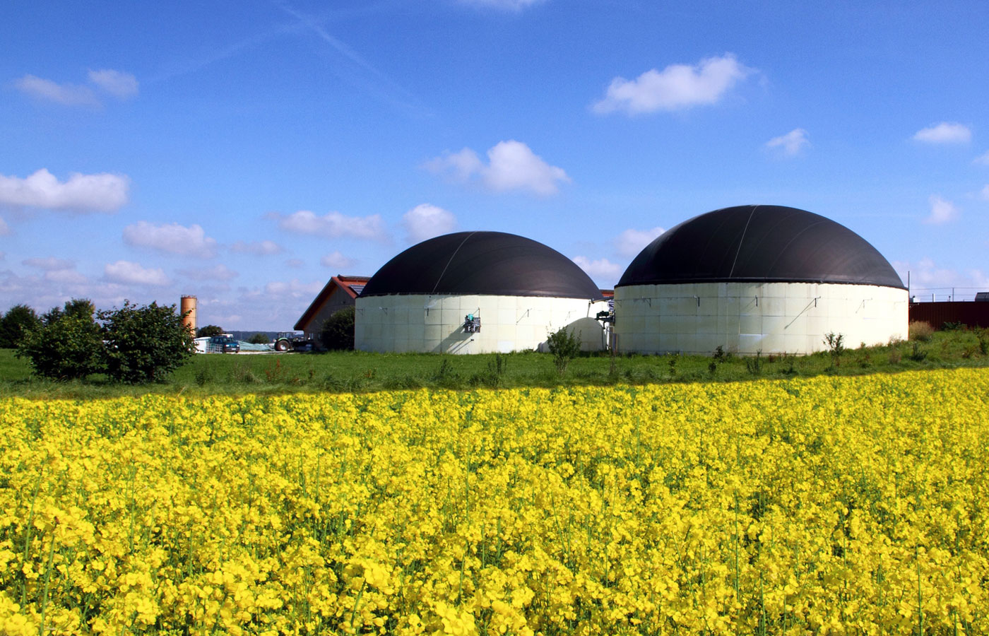 Produce green energy from biogas plants!